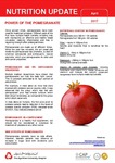 April 2017 (Issue 2) : Power of the Pomegranate by Aga Khan University Hospital, Karachi